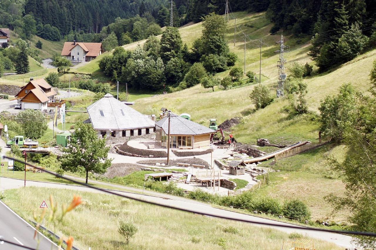 Landpension Am Sommerhang Bad Rippoldsau-Schapbach Exteriör bild
